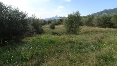 Rustic farm in Xerta photo 28