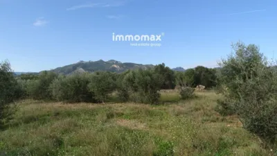 Rustic farm in Xerta photo 29