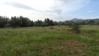 Rustic farm in Xerta photo 2