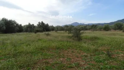 Rustic farm in Xerta photo 3
