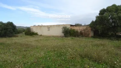 Rustic farm in Xerta photo 4