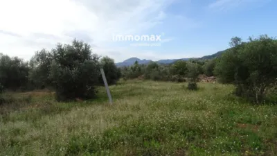 Rustic farm in Xerta photo 6