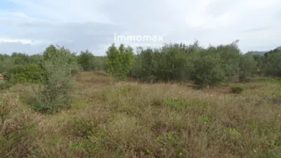 Rustic farm in Xerta photo 8