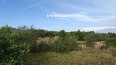 Rustic farm in Xerta photo 9