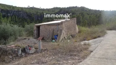 Rustic farm in Paüls photo 15
