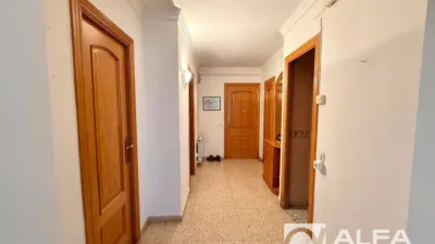 Apartment on Avinguda Vila de Blanes photo 12