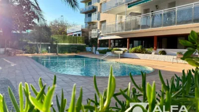 Apartment on Avinguda Vila de Blanes photo 16