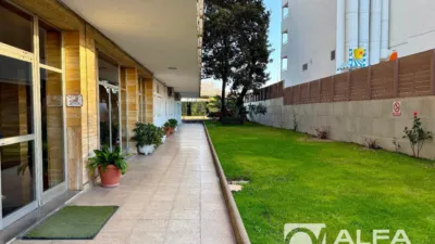 Apartment on Avinguda Vila de Blanes photo 17