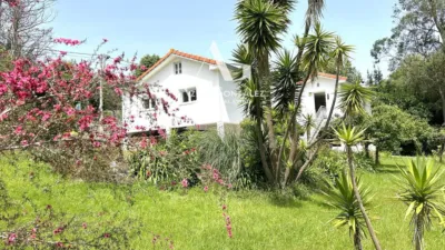 House on Calle Ceneras - Mogro, No. 77 photo 32