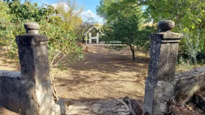 House in Millana photo 46