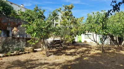 House in Millana photo 48