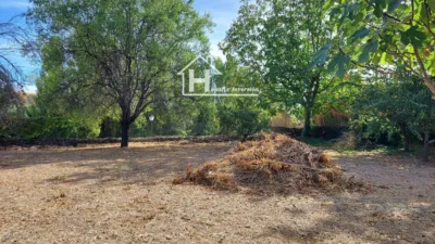 House in Millana photo 49