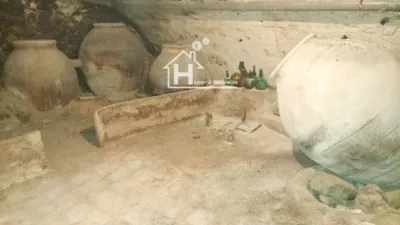 House in Millana photo 58