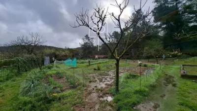 Chalet en Begues photo 9