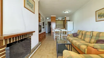Apartment in Puerto de Alcudia photo 10