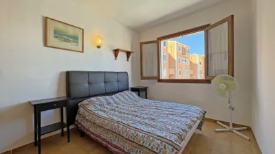 Apartment in Puerto de Alcudia photo 20