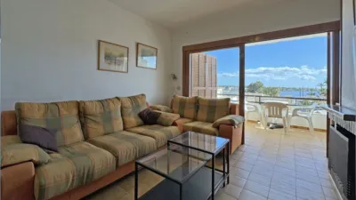 Apartment in Puerto de Alcudia photo 8