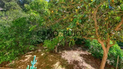 Apartment in Sarrià photo 26