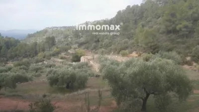 Rustic finca in Benifallet photo 10