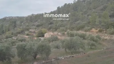 Rustic finca in Benifallet photo 11