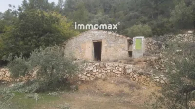 Rustic finca in Benifallet photo 12