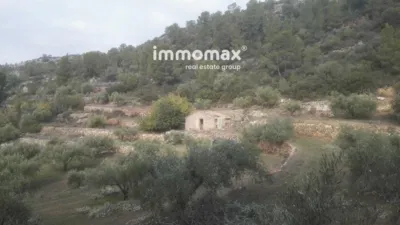 Rustic finca in Benifallet photo 13