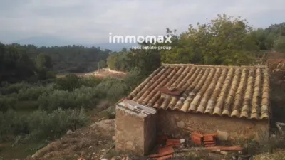 Rustic finca in Benifallet photo 18