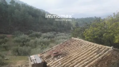 Rustic finca in Benifallet photo 20