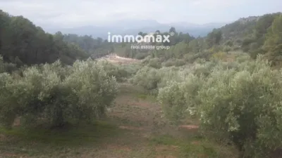 Rustic finca in Benifallet photo 8