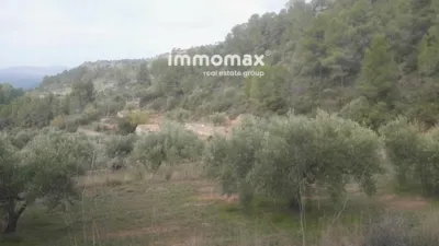 Rustic finca in Benifallet photo 9