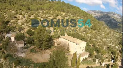 Rustic finca in Alaró photo 13