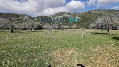 Rustic finca in Alaró photo 17