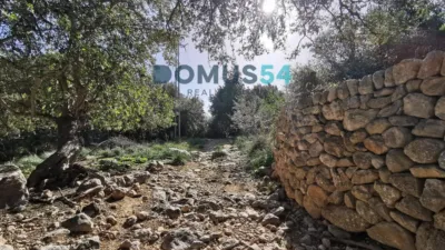 Rustic finca in Alaró photo 18