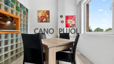 Apartment in La Serra de Galliners photo 11