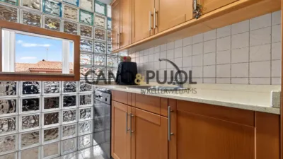 Apartment in La Serra de Galliners photo 4