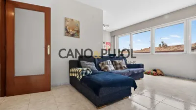 Apartment in La Serra de Galliners photo 7