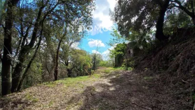House in Sant Joan Les Fonts photo 11