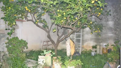 Townhouse in Pueblo photo 12