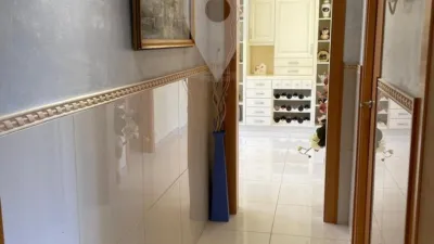 Apartment in Els Grecs-Mas Oliva photo 15