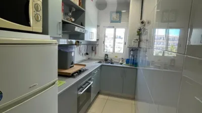 Apartment in Els Grecs-Mas Oliva photo 16