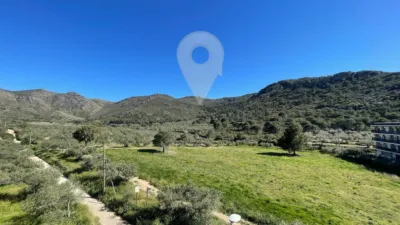 Apartment in Els Grecs-Mas Oliva photo 36