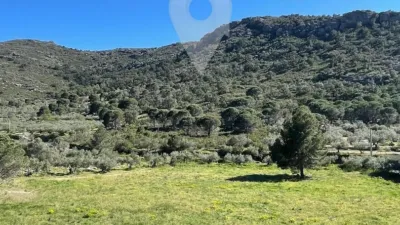 Apartment in Els Grecs-Mas Oliva photo 38