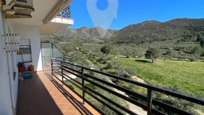 Apartment in Els Grecs-Mas Oliva photo 3