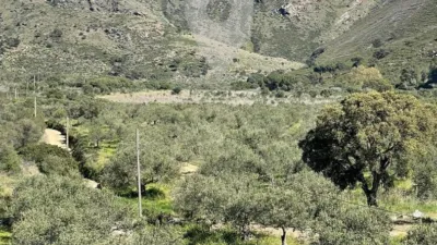 Apartment in Els Grecs-Mas Oliva photo 40