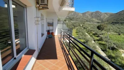 Apartment in Els Grecs-Mas Oliva photo 4