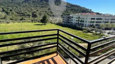 Apartment in Els Grecs-Mas Oliva photo 5