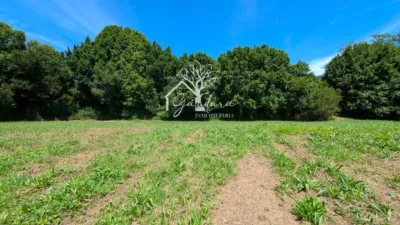 Terreno en venta en Sedes - Vista 5