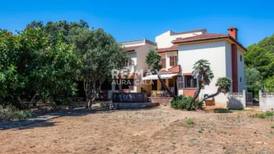 Chalet in Cala Gat photo 24