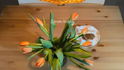 Apartment in Centre-Port-Platja Llevant photo 3