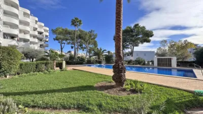 Apartment in Puerto de Alcudia photo 27